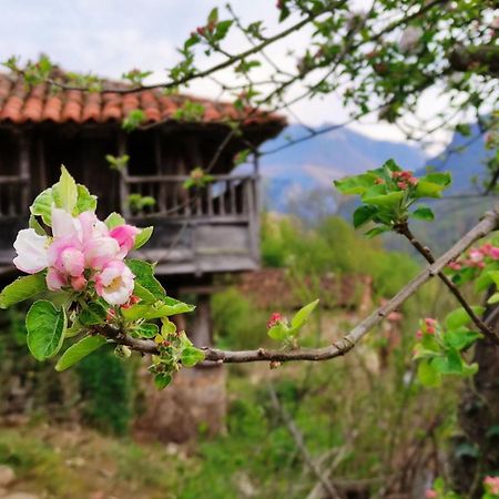 Casa La Parra Villa Villar de Vildas Kültér fotó