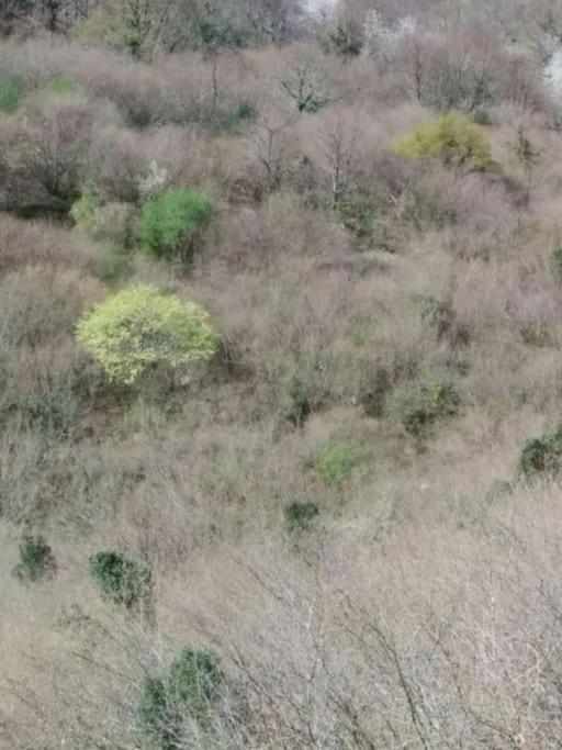 Casa La Parra Villa Villar de Vildas Kültér fotó