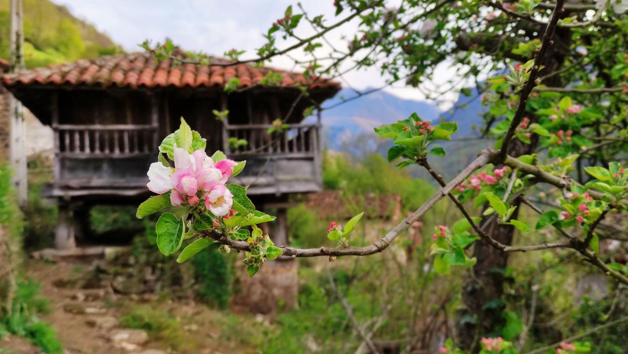 Casa La Parra Villa Villar de Vildas Kültér fotó
